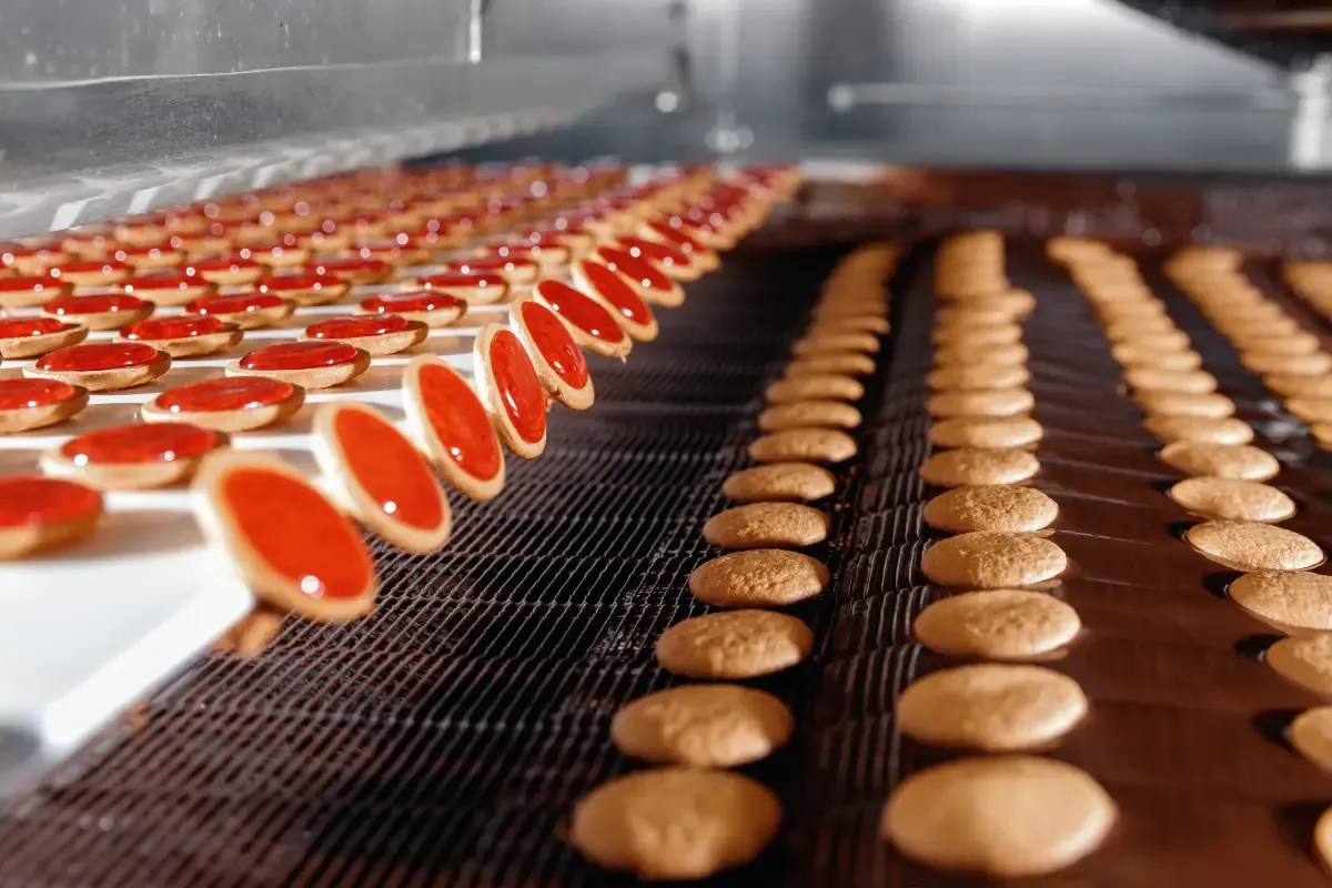 Food products: surprising options | Alimentos SAS
